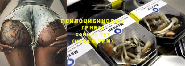 твердый Волоколамск